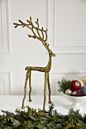 Kingly Reindeer