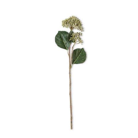 23 Inch Green Hydrangea Buds Stem