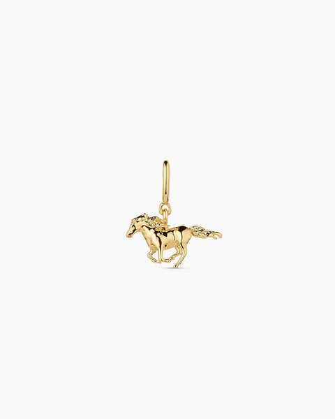 Gorjana Charms