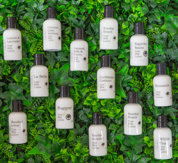 2oz Goat Milk Lotion: Pineapple Mango