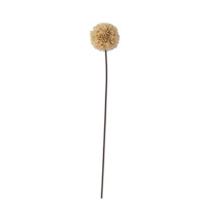 26 Inch Tan Allium Stem