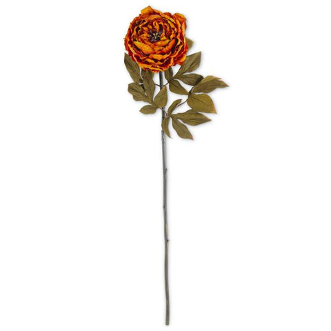 30 Inch Rusty Orange Peony Stem