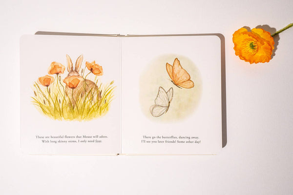 Our Little Adventures Board Book Box Set for Kids