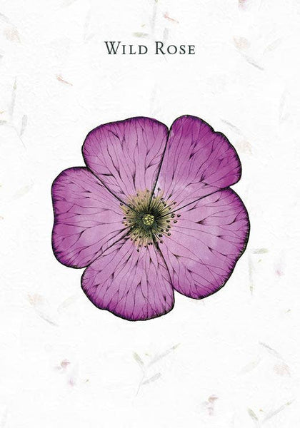 Listening to Flowers