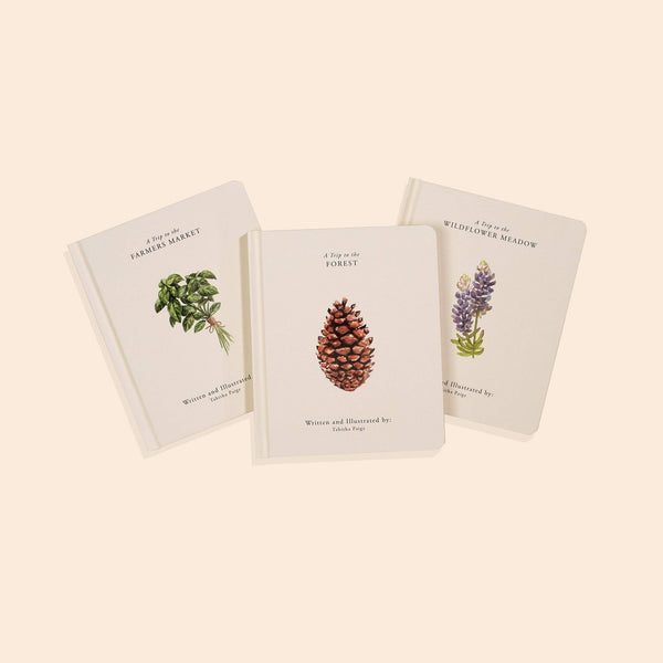 Our Little Adventures Board Book Box Set for Kids