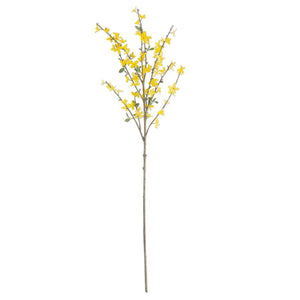 44Inch Forsythia Stem