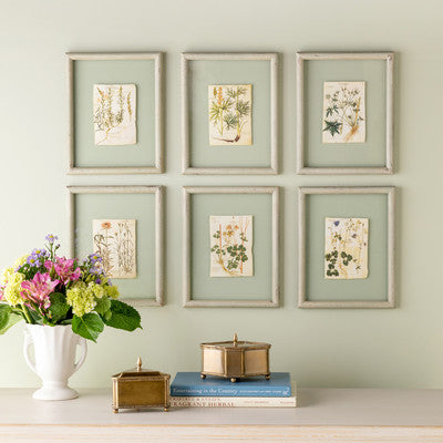 Floating Framed Botanical Prints