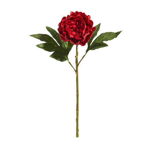 23" Red Peony Stem