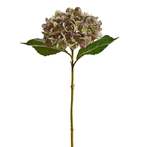 18" Green and Purple Hydrangea Stem