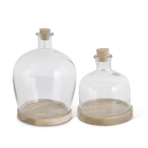 Glass Bottle Cloche on Wooden Base
