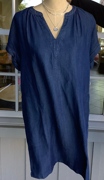 Renuar Woven Dress
