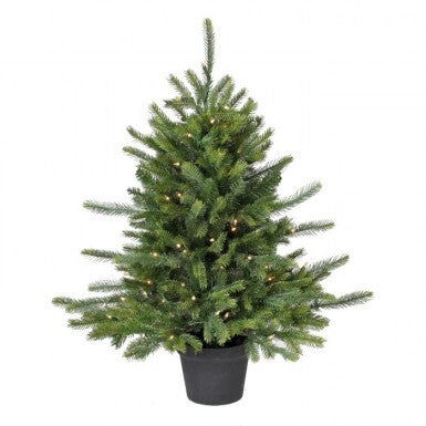 LIT PTD. TELLURIDE FIR TREE 3' 32"D 100L"