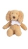 Mini Dog Breed Plush Pals, 5 assorted (sold separately)