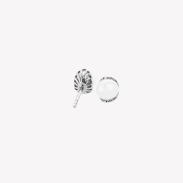 Becoming Shell Encased Pearl Stud Earrings