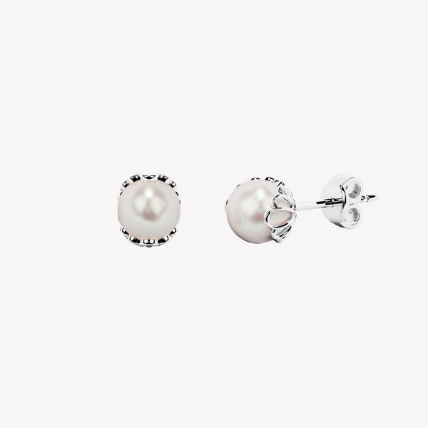 Becoming Shell Encased Pearl Stud Earrings