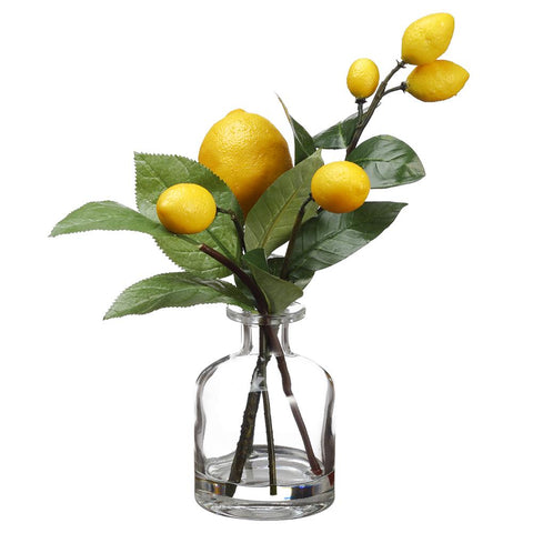 10"LEMON IN GLASS VASE YE