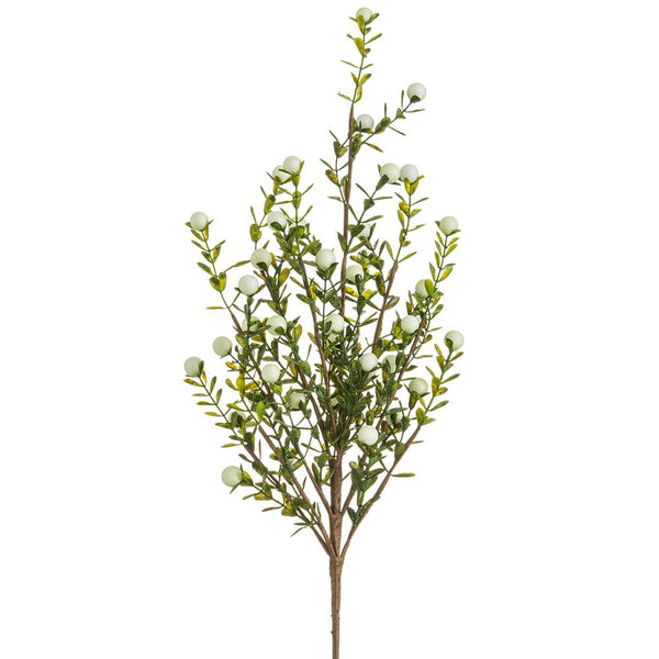 21" Berry Spray