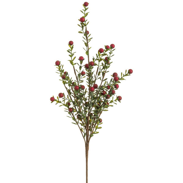 21" Berry Spray