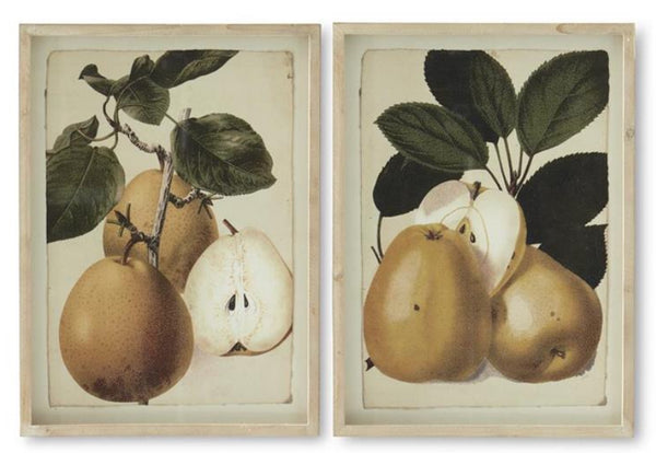 Wood Framed Pear Print