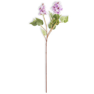 Light Purple Lilac Stem