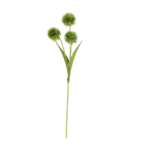 Green Ball Flower Stem