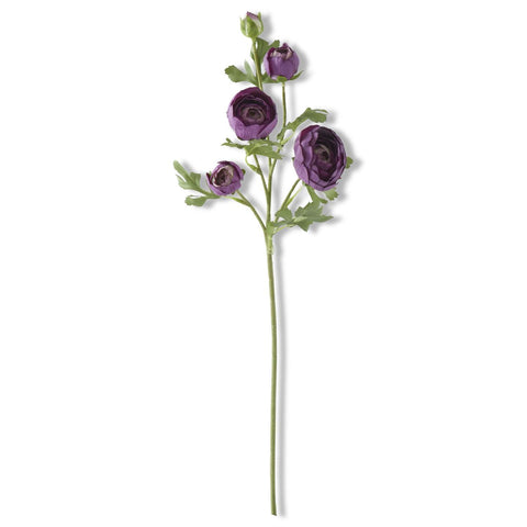 Dark Purple Real Touch 5 Head Ranunculus Stem