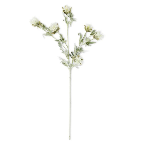 33 Inch 6 Head White Thistle w/Soft Green Foliage Stem