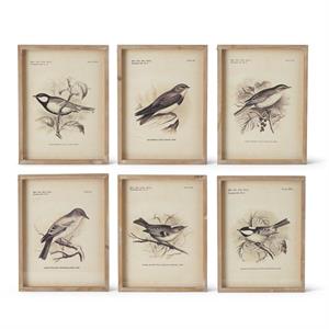 Assorted 15.75 Brown Wood Framed Bird Prints (6 assorted Styles)