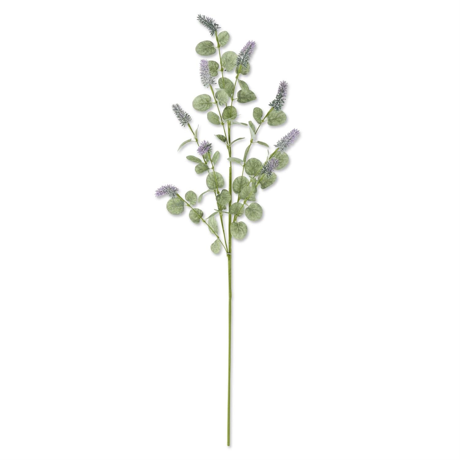lavender and eucalyptus plants Purple Lavender w/Eucalyptus Leaves Stem – Citrus and Moss