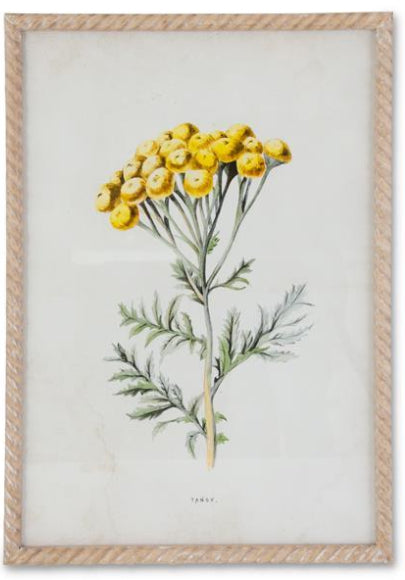 Yellow Floral Print in Whitewashed Spiral Frame
