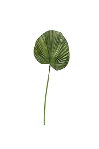 31" Small Fan Palm Leaf