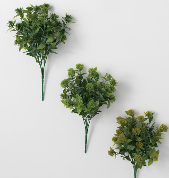 Sullivans Wild Flower Bush