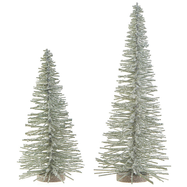 Blue Bottle Brush Trees
