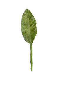 33" Large Calla Lily Leaf