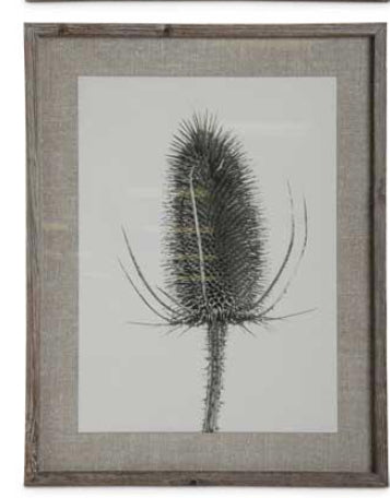 Black, Gray & White Floral Framed Print