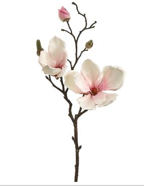 19"MAGNOLIA SPRAY PK/BS