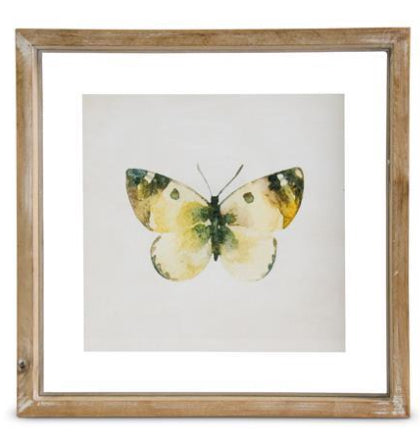 Shadowbox Framed Butterfly Print