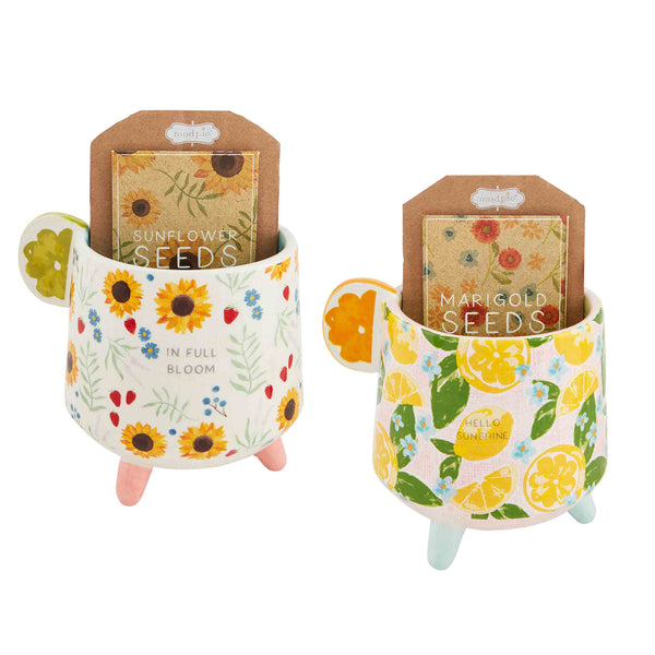 Fruity Floral Pot & Seed Set