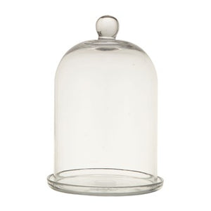 Glass Cloche