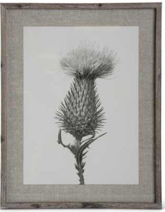Black, Gray & White Floral Framed Print