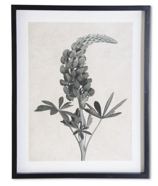 Framed Gray & White Botanical Print