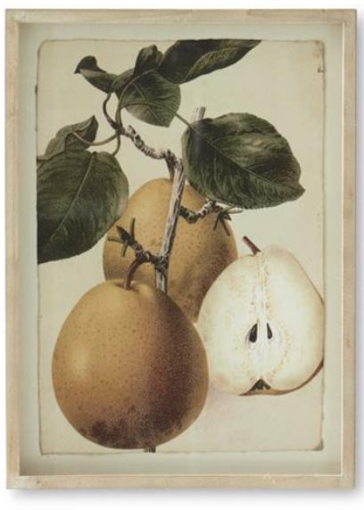 Wood Framed Pear Print