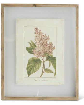 Botanical Print in Shadowbox Wood Frame