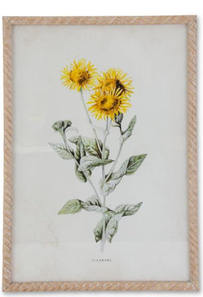 Yellow Floral Print in Whitewashed Spiral Frame