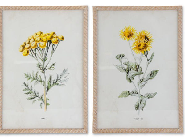 Yellow Floral Print in Whitewashed Spiral Frame