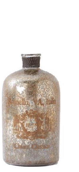 Vintage Mercury Glass Bottle