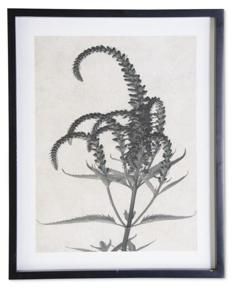 Framed Gray & White Botanical Print