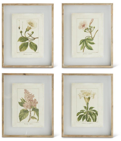 Botanical Print in Shadowbox Wood Frame