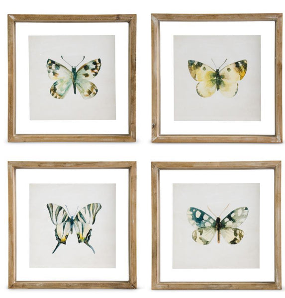 Shadowbox Framed Butterfly Print