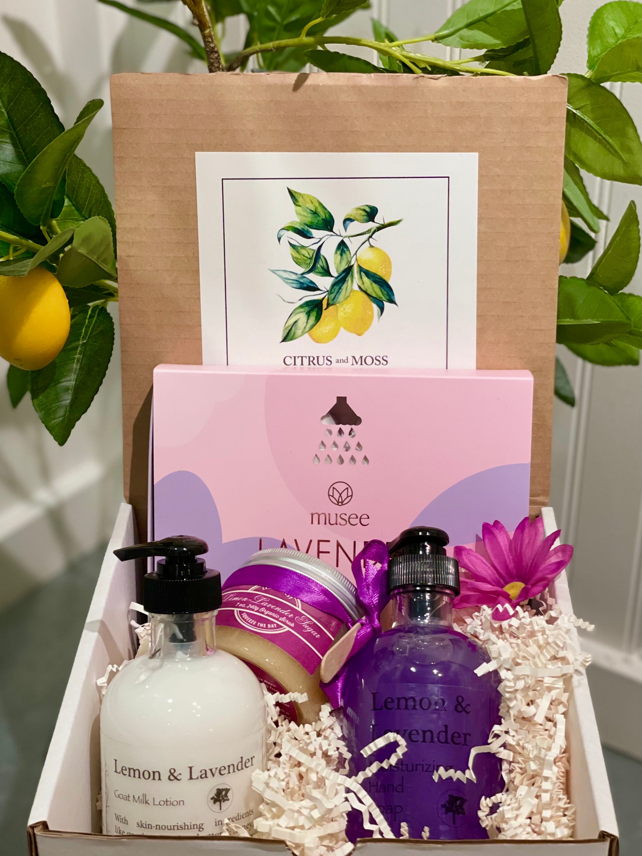 Happiness Boxes – Citrus and Moss